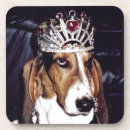 Suche nach jagdhundes untersetzer Jede person