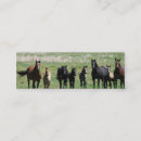 Suche nach stute visitenkarten Fohlen