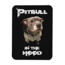 Suche nach pitbull magnete Pillbulle