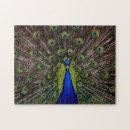 Suche nach stolz puzzle Bunt