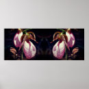 Suche nach frauenschuh poster Natur