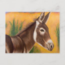 Suche nach burro postkarten Tier