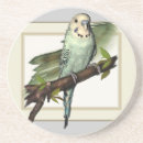 Suche nach budgie untersetzer Budgerigar