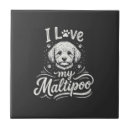 Suche nach liebe mops fliesen Welpe