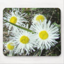 Suche nach weiße wildblumen mousepads Jede person