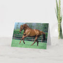 Suche nach stallion karten Pferd