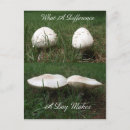 Suche nach unterschied postkarten Für alle