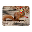 Suche nach rotes eichhörnchen magnete Niedlich