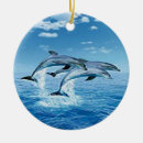 Suche nach delphin ornamente Jede person
