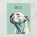 Suche nach boxerhund postkarten Jede person