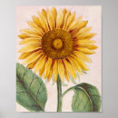 Suche nach helle blumen poster Blütenblätter