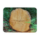 Suche nach baumstämme magnete Holz