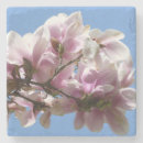 Suche nach pedal untersetzer Magnolie