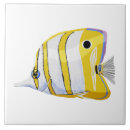 Suche nach dick fliesen Gelb