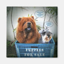 Suche nach wertvoll magnete Tier