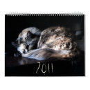 Suche nach lustige katzen kalender Niedlich