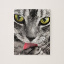Suche nach graue katze puzzle Haustier