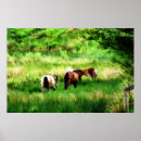 Suche nach aquarell pferde poster Nutztiere