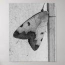 Suche nach grüner drache poster Tier