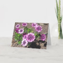 Suche nach leidenschaft karten Lila