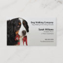 Suche nach bernese visitenkarten Hundezucht