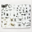 Suche nach zoologie mousepads Englisch