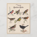 Suche nach antiker vogel postkarten Niedlich