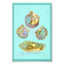 Suche nach vintage muscheln poster Strand