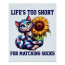 Suche nach matching poster Katze