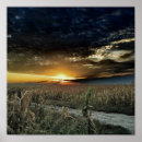 Suche nach macro poster Nature