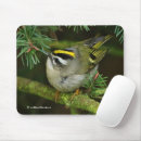 Suche nach singvogel mousepads Naturfotografie