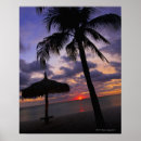 Suche nach tropisches klima poster Himmel