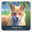 Suche nach red fox aufkleber Rotfuchs