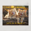 Suche nach orange und weiße katze postkarten Jede person