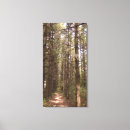 Suche nach baum fotodruck Wälder