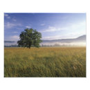 Suche nach ländliche poster Tennessee