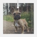 Suche nach bulldoggen ornamente Hund