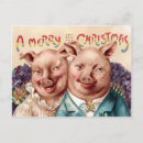 Suche nach vintages schwein postkarten Schweine