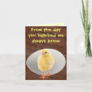 Suche nach hühnerstall karten Küken