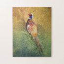 Suche nach fasan puzzle Vogel
