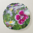 Suche nach nelken kissen Rosa blume