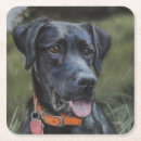 Suche nach labrador untersetzer Welpe