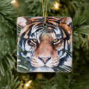 Suche nach tiger im dschungel ornamente Blume