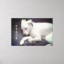 Suche nach beruhigende leinwandbilder Ruhe