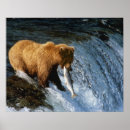 Suche nach brooke poster Alaska