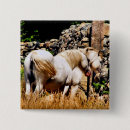 Suche nach ponys buttons Jede person