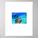 Suche nach unterwasserwelt poster Meereslebewesen