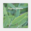 Suche nach pflanzen magnete Blätter