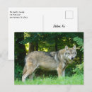 Suche nach wolf im wald postkarten Wölfe