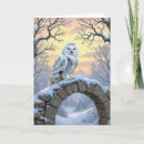 Suche nach schneeeule karten Wildtiere